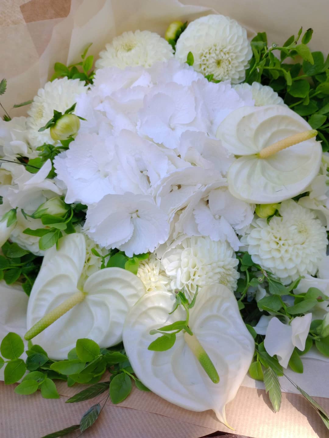 Botanisk inspirasjon