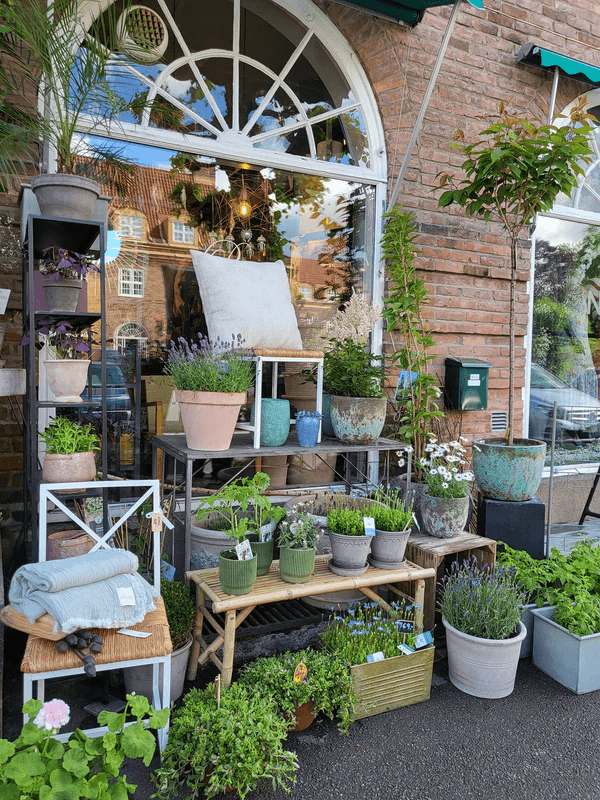 Damplass Blomster Boutique